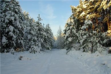 清道夫模拟器《瘟疫：伦敦 1665》Steam页面上线